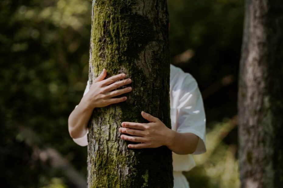 Återhämtning med kärlek till naturen